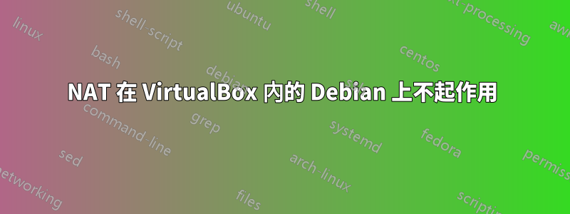 NAT 在 VirtualBox 內的 Debian 上不起作用