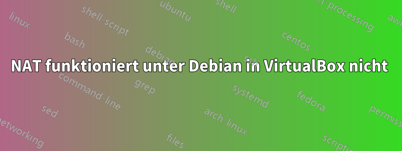 NAT funktioniert unter Debian in VirtualBox nicht