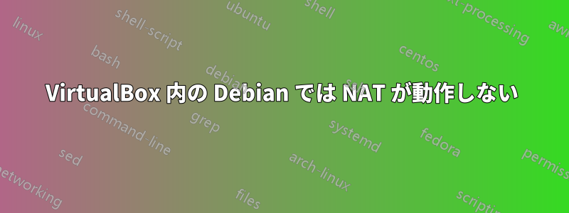VirtualBox 内の Debian では NAT が動作しない