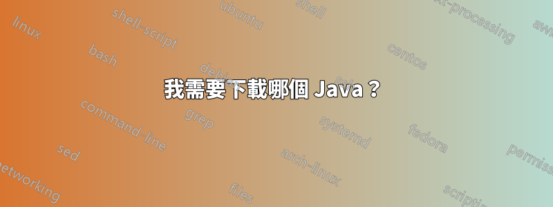 我需要下載哪個 Java？