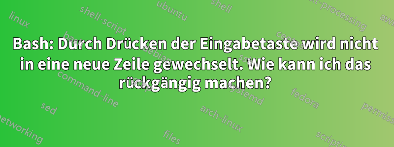 Bash: Durch Drücken der Eingabetaste wird nicht in eine neue Zeile gewechselt. Wie kann ich das rückgängig machen?