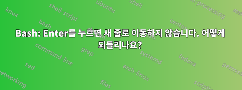 Bash: Enter를 누르면 새 줄로 이동하지 않습니다. 어떻게 되돌리나요?