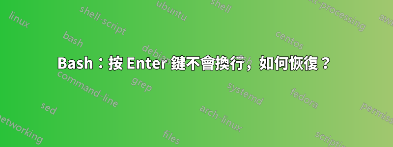Bash：按 Enter 鍵不會換行，如何恢復？