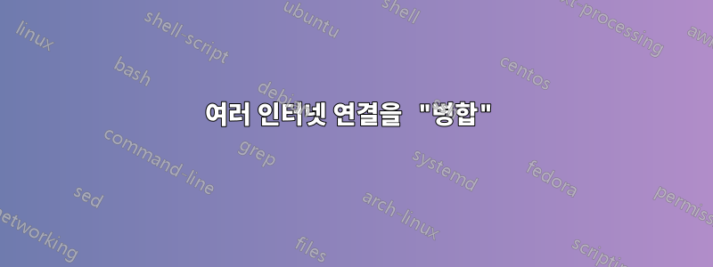 여러 인터넷 연결을 "병합"