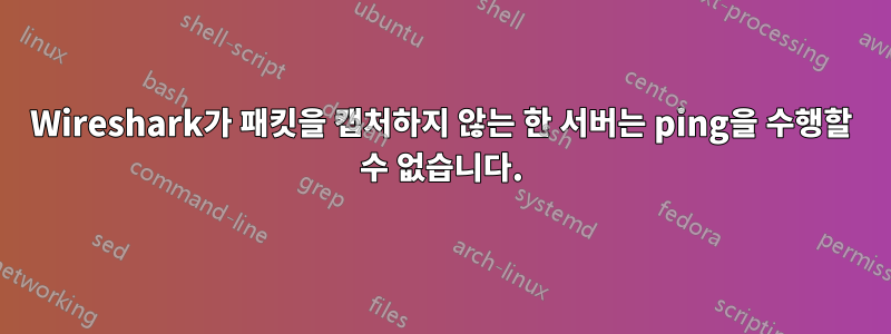 Wireshark가 패킷을 캡처하지 않는 한 서버는 ping을 수행할 수 없습니다.