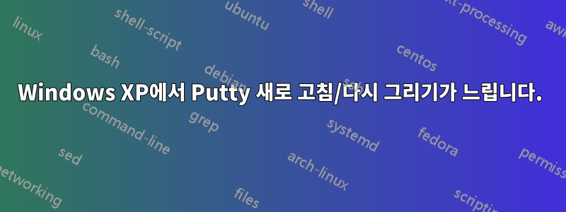 Windows XP에서 Putty 새로 고침/다시 그리기가 느립니다.