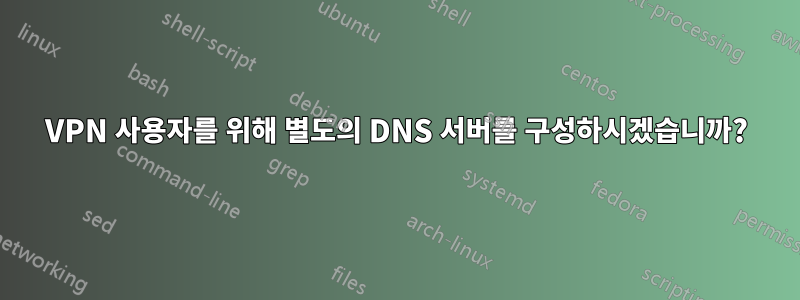 VPN 사용자를 위해 별도의 DNS 서버를 구성하시겠습니까?