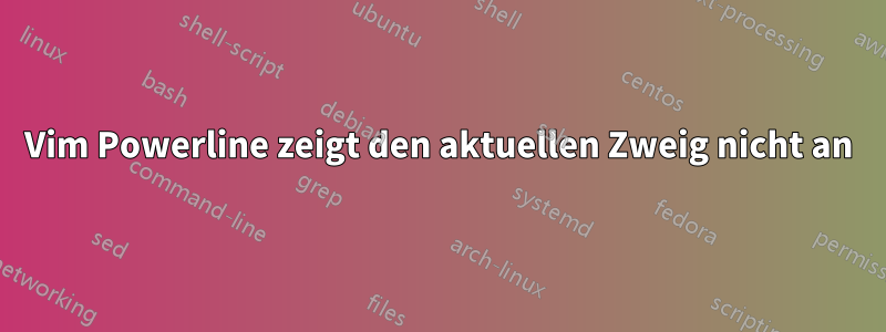 Vim Powerline zeigt den aktuellen Zweig nicht an