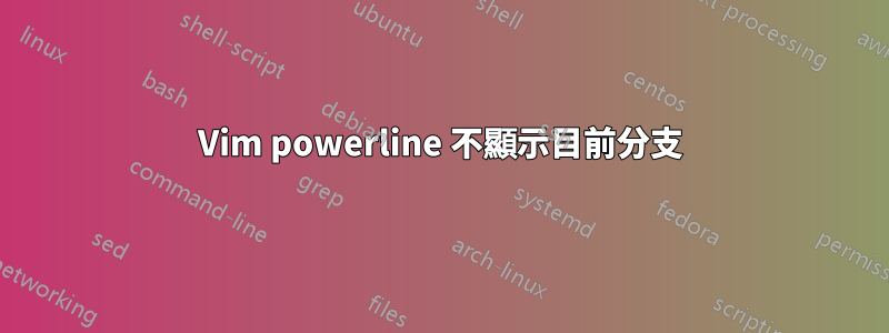 Vim powerline 不顯示目前分支