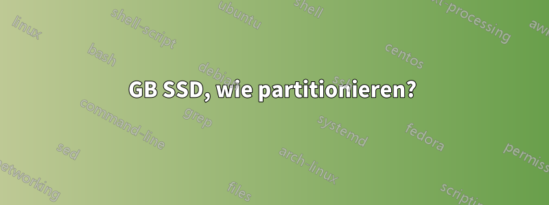 60 GB SSD, wie partitionieren? 