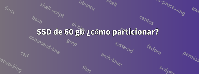 SSD de 60 gb ¿cómo particionar? 