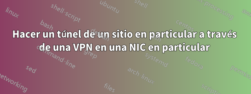 Hacer un túnel de un sitio en particular a través de una VPN en una NIC en particular