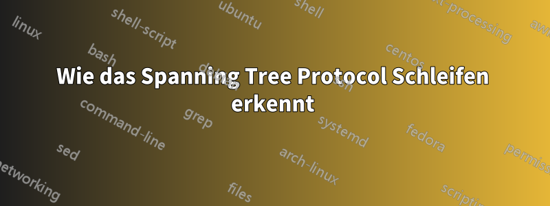 Wie das Spanning Tree Protocol Schleifen erkennt