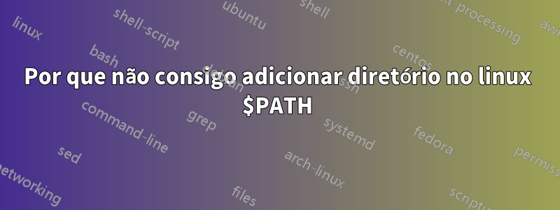 Por que não consigo adicionar diretório no linux $PATH