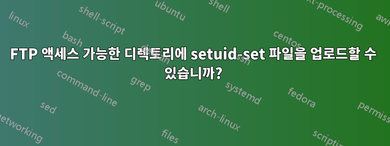 FTP 액세스 가능한 디렉토리에 setuid-set 파일을 업로드할 수 있습니까?