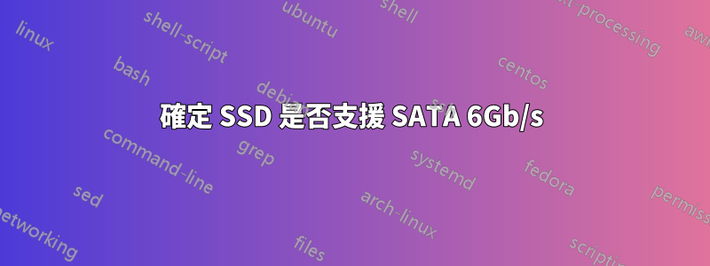 確定 SSD 是否支援 SATA 6Gb/s