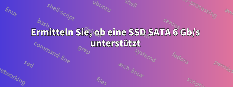Ermitteln Sie, ob eine SSD SATA 6 Gb/s unterstützt