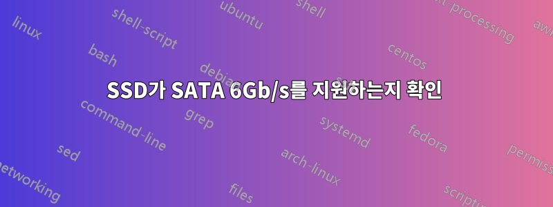 SSD가 SATA 6Gb/s를 지원하는지 확인