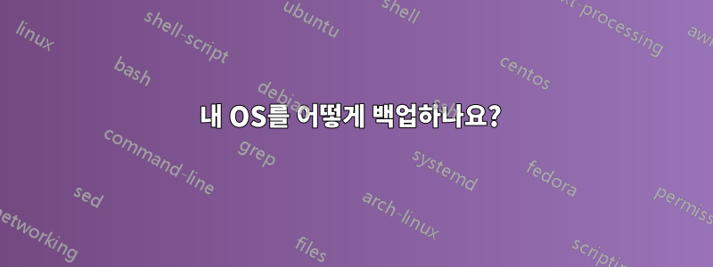 내 OS를 어떻게 백업하나요? 