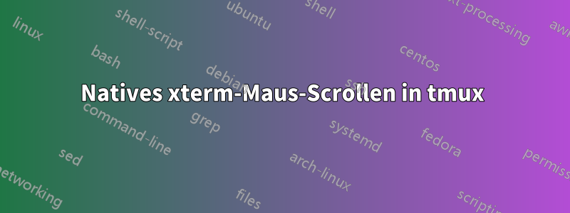 Natives xterm-Maus-Scrollen in tmux