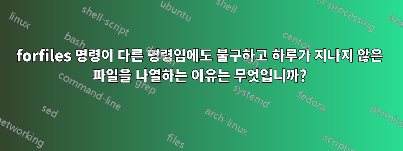 forfiles 명령이 다른 명령임에도 불구하고 하루가 지나지 않은 파일을 나열하는 이유는 무엇입니까?