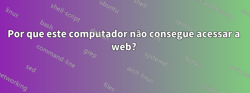 Por que este computador não consegue acessar a web?