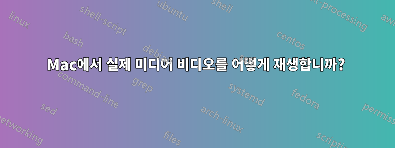 Mac에서 실제 미디어 비디오를 어떻게 재생합니까?