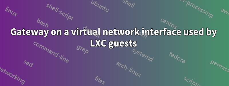 Gateway on a virtual network interface used by LXC guests