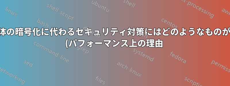 ドライブ全体の暗号化に代わるセキュリティ対策にはどのようなものがありますか (パフォーマンス上の理由)?