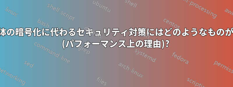 ドライブ全体の暗号化に代わるセキュリティ対策にはどのようなものがありますか (パフォーマンス上の理由)?