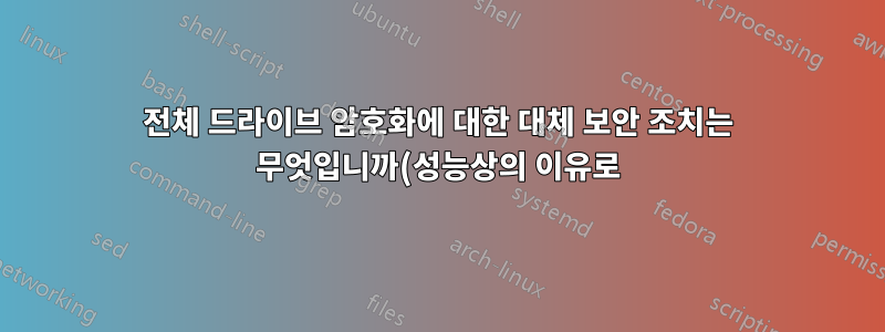 전체 드라이브 암호화에 대한 대체 보안 조치는 무엇입니까(성능상의 이유로)?