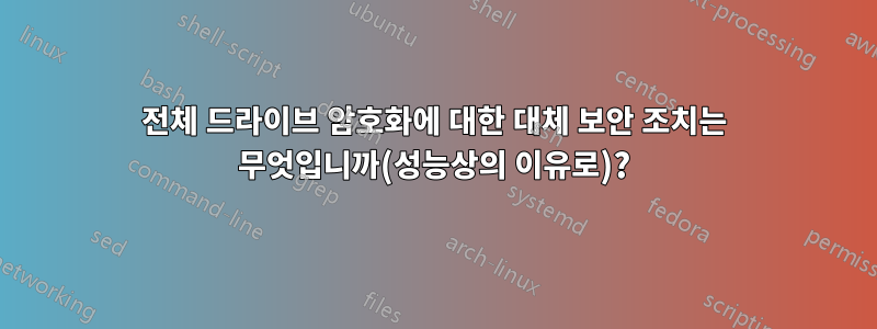 전체 드라이브 암호화에 대한 대체 보안 조치는 무엇입니까(성능상의 이유로)?