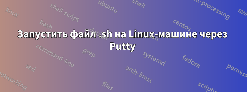 Запустить файл .sh на Linux-машине через Putty