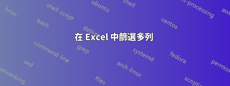 在 Excel 中篩選多列