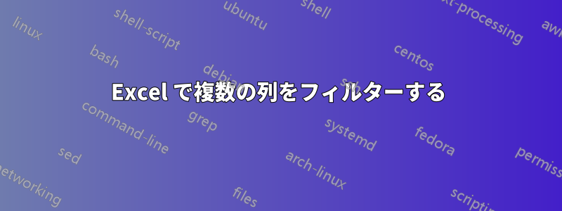 Excel で複数の列をフィルターする