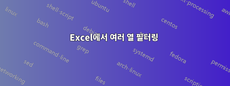 Excel에서 여러 열 필터링