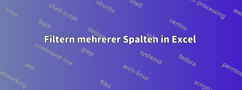 Filtern mehrerer Spalten in Excel