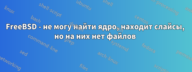 FreeBSD - не могу найти ядро, находит слайсы, но на них нет файлов
