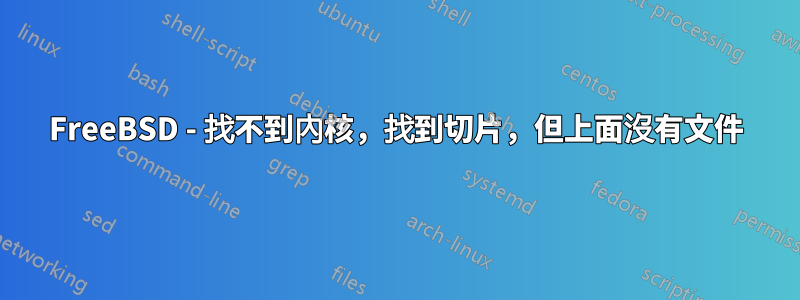 FreeBSD - 找不到內核，找到切片，但上面沒有文件