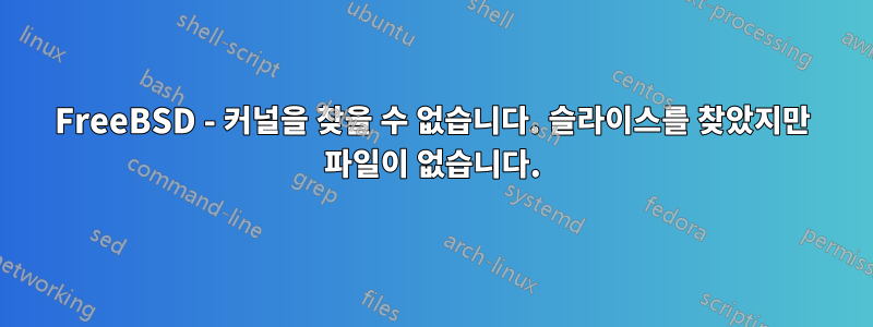 FreeBSD - 커널을 찾을 수 없습니다. 슬라이스를 찾았지만 파일이 없습니다.