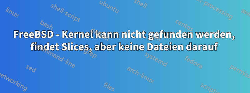 FreeBSD - Kernel kann nicht gefunden werden, findet Slices, aber keine Dateien darauf
