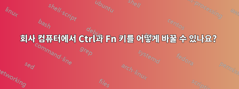 회사 컴퓨터에서 Ctrl과 Fn 키를 어떻게 바꿀 수 있나요?