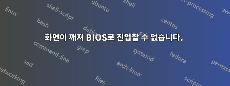 화면이 깨져 BIOS로 진입할 수 없습니다.