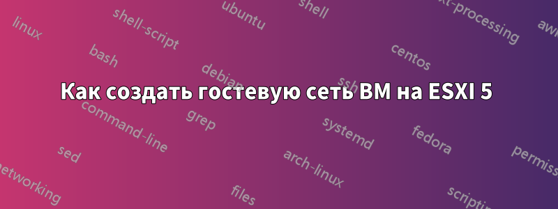 Как создать гостевую сеть ВМ на ESXI 5