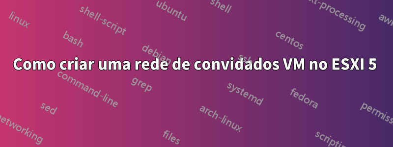 Como criar uma rede de convidados VM no ESXI 5