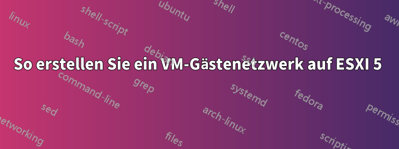 So erstellen Sie ein VM-Gästenetzwerk auf ESXI 5