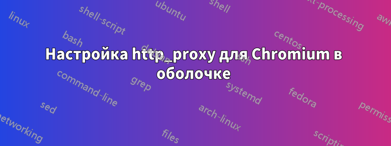 Настройка http_proxy для Chromium в оболочке