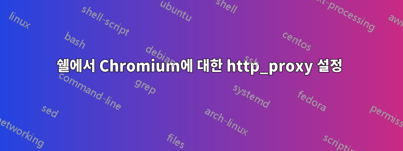 쉘에서 Chromium에 대한 http_proxy 설정