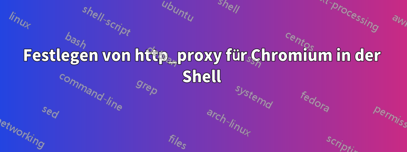 Festlegen von http_proxy für Chromium in der Shell