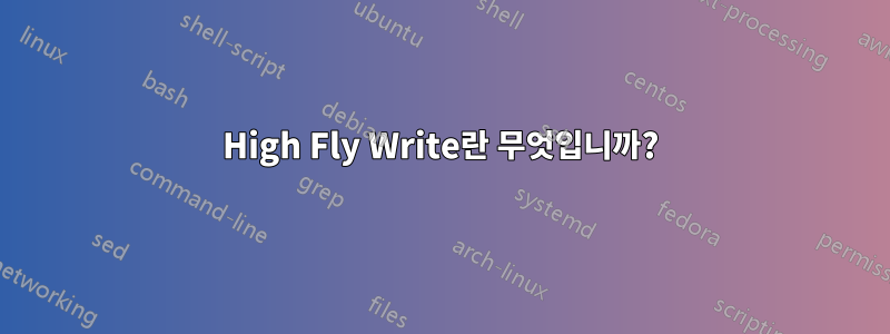 High Fly Write란 무엇입니까?